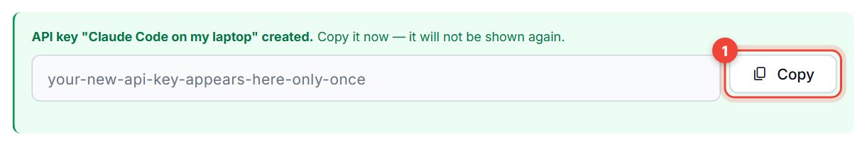Green box confirming the new API key, with the Copy button highlighted; the key is replaced by a placeholder