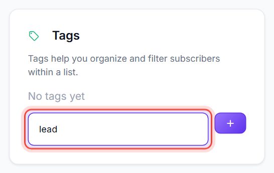 Subscriber profile with the tag lead typed in the Tags box