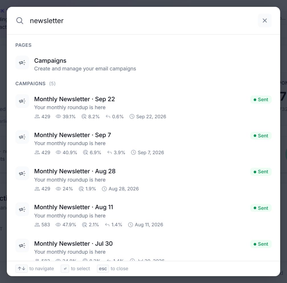 Search results for the word newsletter, showing a page and five campaigns