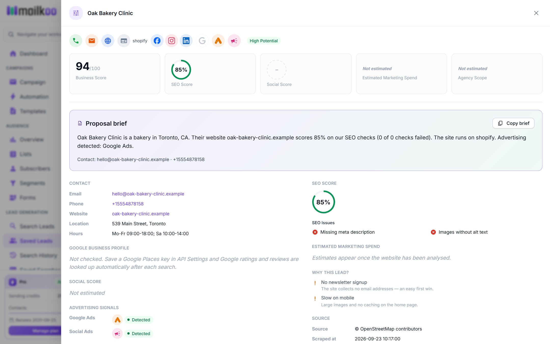 Detail panel for a saved lead with Google Ads and Social Ads detected