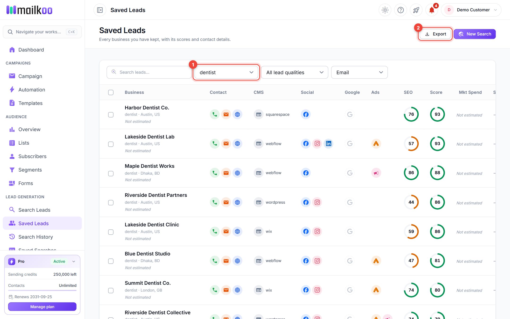 Saved Leads filtered to dentist with the Export button highlighted