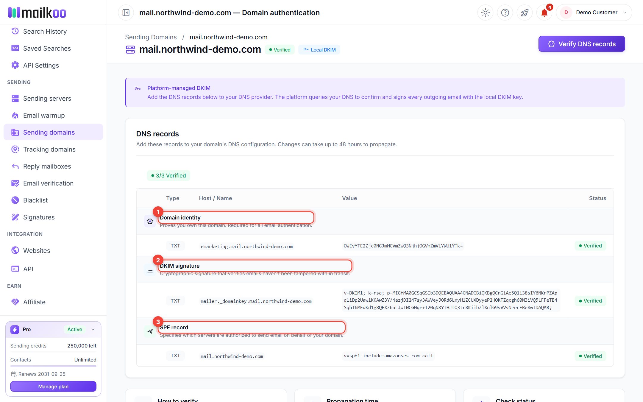 Domain authentication page with the Domain identity, DKIM and SPF records numbered