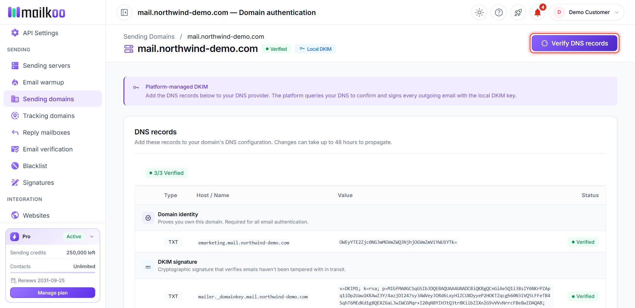 Domain page with the Verify DNS records button ringed